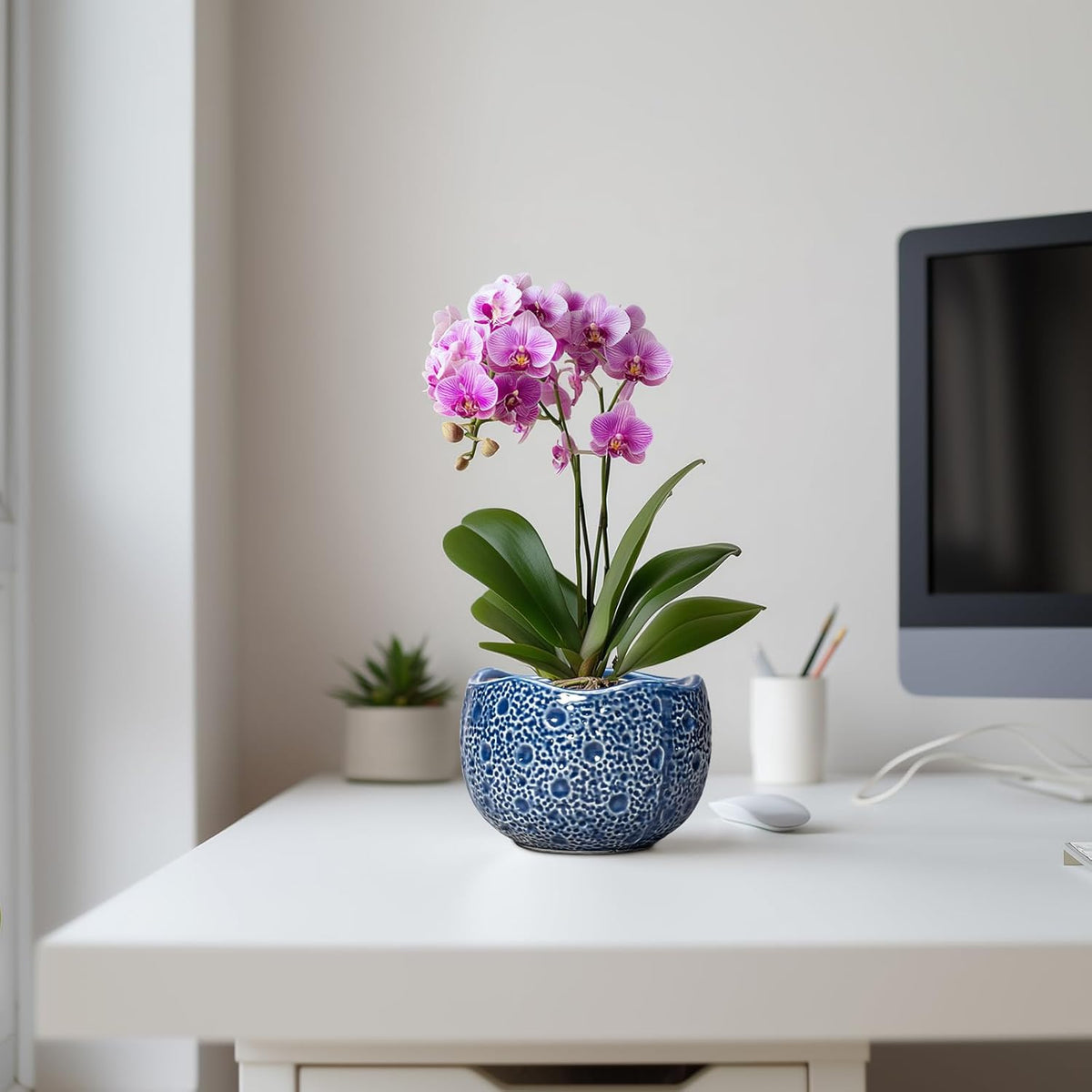 Orchid Pot - 6 Inch Ceramic Plant Pot for Indoor Outdoor, Round Unique Planters with Drainage Hole