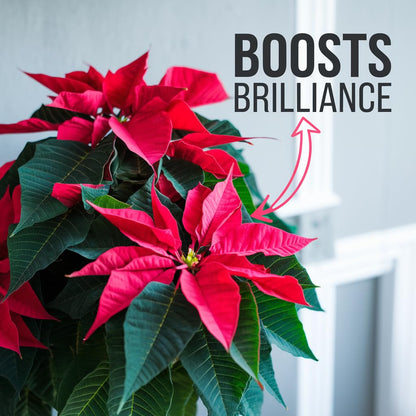 Gardenera Poinsettia Plant Fertilizer - 3-1-2 NPK - Organic Liquid Plant Food for Christmas Flowers
