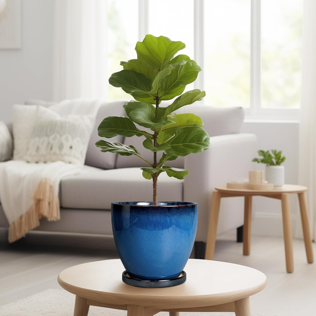 8 Inch Planter - Ceramic Plant Pot with Drainage Hole and Tray Round Planter Modern Flower Pot for