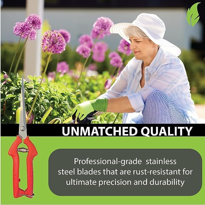 GARDEN GURU Extra Long Stainless Steel Pruner Pruning Shears Clippers Snips – Sharp Bonsai Cutter