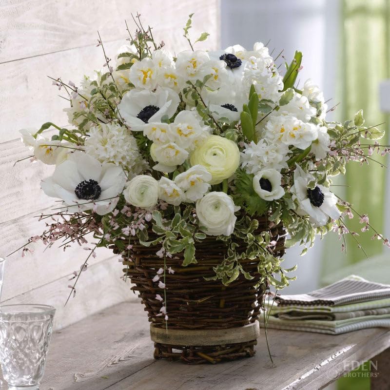 Eden Brothers White Garden Collection