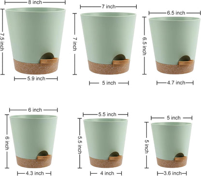 Indoor Self Watering Planters with Drainage Holes and Saucers, 8, 7, 6.5, 6, 5.5, 5 Inches, Green