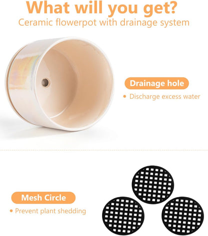 EFISPSS Plant Pots, 4+5+6 Inch Pots for Indoor Plants,Ceramic Planter Pot with Drainage Hole,Flower
