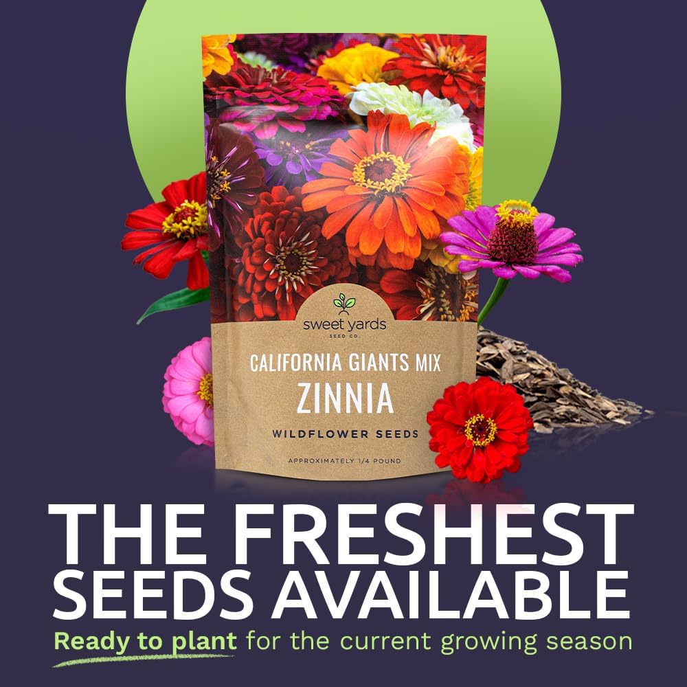 Bulk Zinnia Seeds - California Giants Mix - Bulk 1/4 Pound Bag Over 12,000 Flower Seeds - Mixed