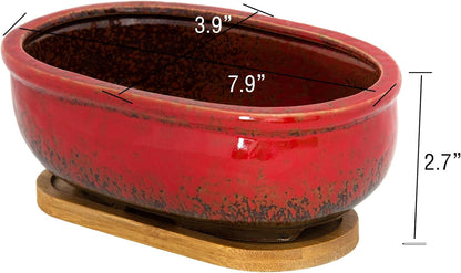 Succulent Pots, 7.9 Inch Long Rectangular Succulent Planters with Drainage Tray, Shallow Planters