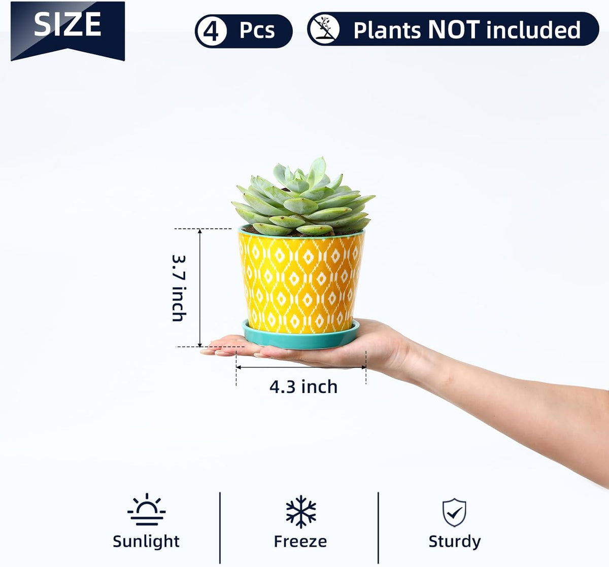 Selamica Ceramic Succulent Pots, 4.3 Inch Small Plant Pots with Drainage Holes and Saucers, Small