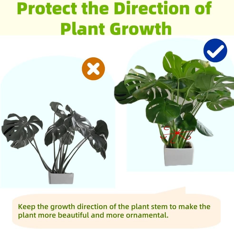 8 PCS Plant Stem Support, Plant Stakes for Indoor Plants Plant Clips for Climbing Plants, Plastic