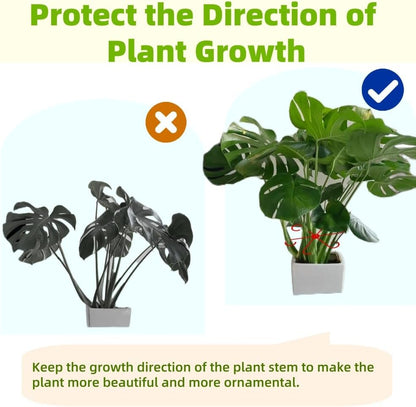 8 PCS Plant Stem Support, Plant Stakes for Indoor Plants Plant Clips for Climbing Plants, Plastic