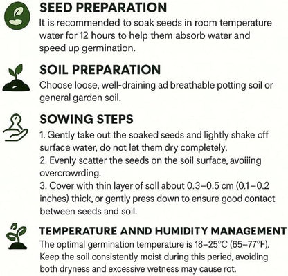 Mix Milkweed Seeds for Monarch Butterflies - 6 Individual Varieties Perennial Wildflower (120 Seeds