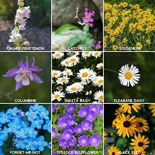 Rocky Mountain Wildflower Seeds Mix - 1 Lb Seed Pouch - 22 Wild Flower Seed Varieties - Annuals