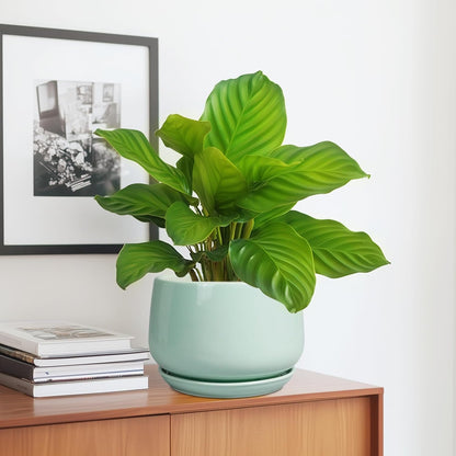 G EPGardening Ceramic Plant Pots - 7 Inch Planter for Indoor Outdoor Plants, Ceramic Planter with