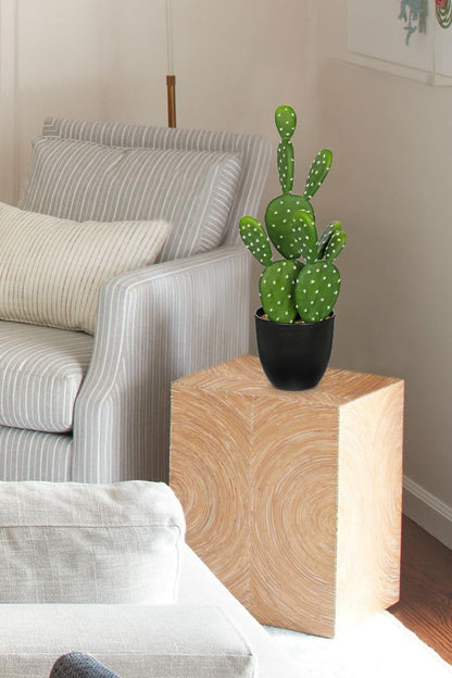 DILATATA 16.5" Small Fake Cactus Plant Potted 'Prickly Pear Cactus' Faux Cacti for Home Garden