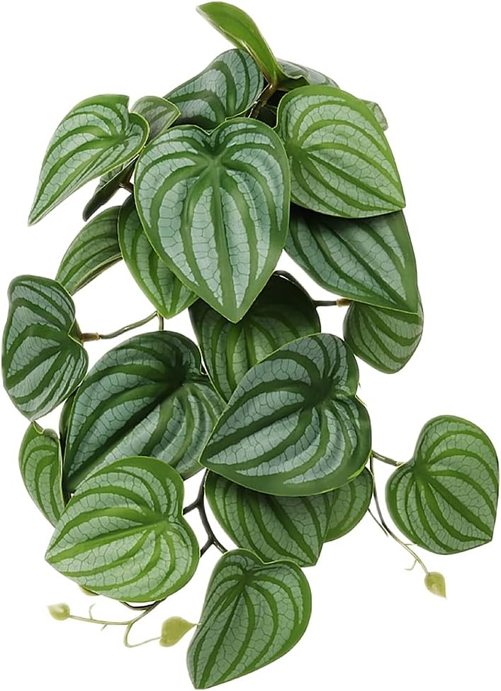 Reptile Plants for Terrarium, Amphibian Habitat Decor Artificial Hanging Plants with Suction Cup