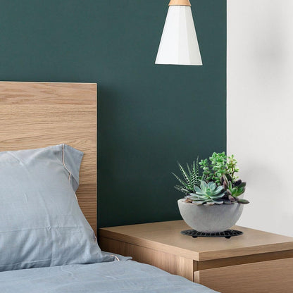 Plant Risers for Pots Indoor, Plant Stands, Pack Plant Elevator for Prevent Rot and Damage on Patio