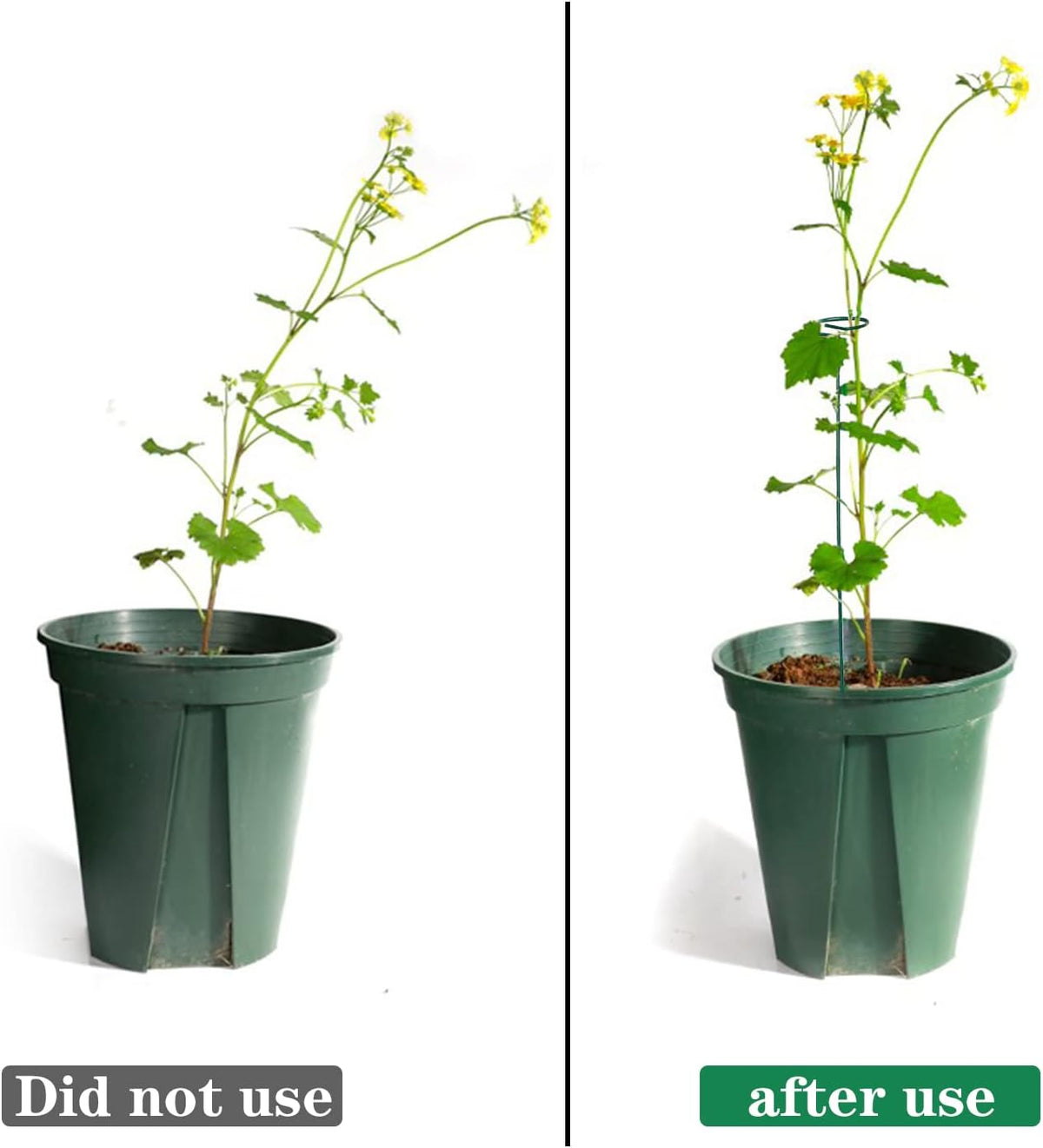 4 Pack Plant Stakes,Plant Support Stakes for Two Sizes(16 or 32 Inches),Plant Stakes for Outdoor