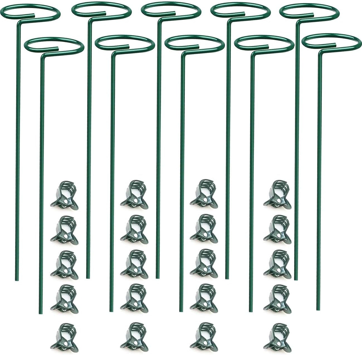 10 pcs 16 inch Metal Single Stem Flower Plant Support Stakes and Rings for Amaryllis Orchid Lily