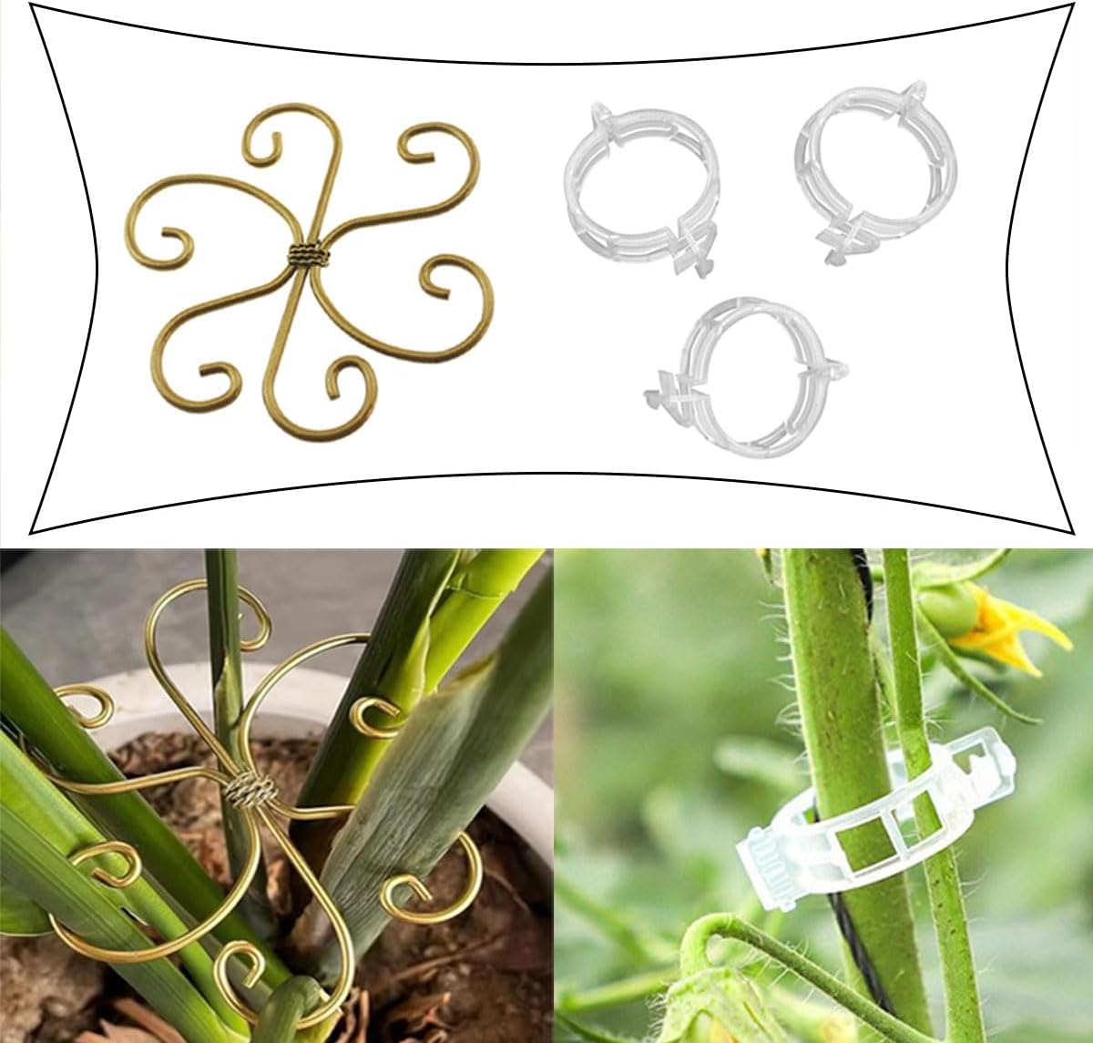QAZXCDEW-Plant Stem Support,Vertical Growth Support,Plant Stem Holder,Combining Two Styles Delivery