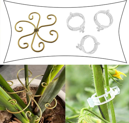 QAZXCDEW-Plant Stem Support,Vertical Growth Support,Plant Stem Holder,Combining Two Styles Delivery