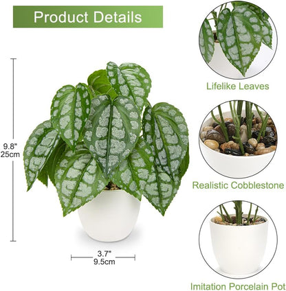 Fake Plants Small Faux Potted Plant 9.8 Inches Fake Piper Sylvaticum with Pot Artificial Plants