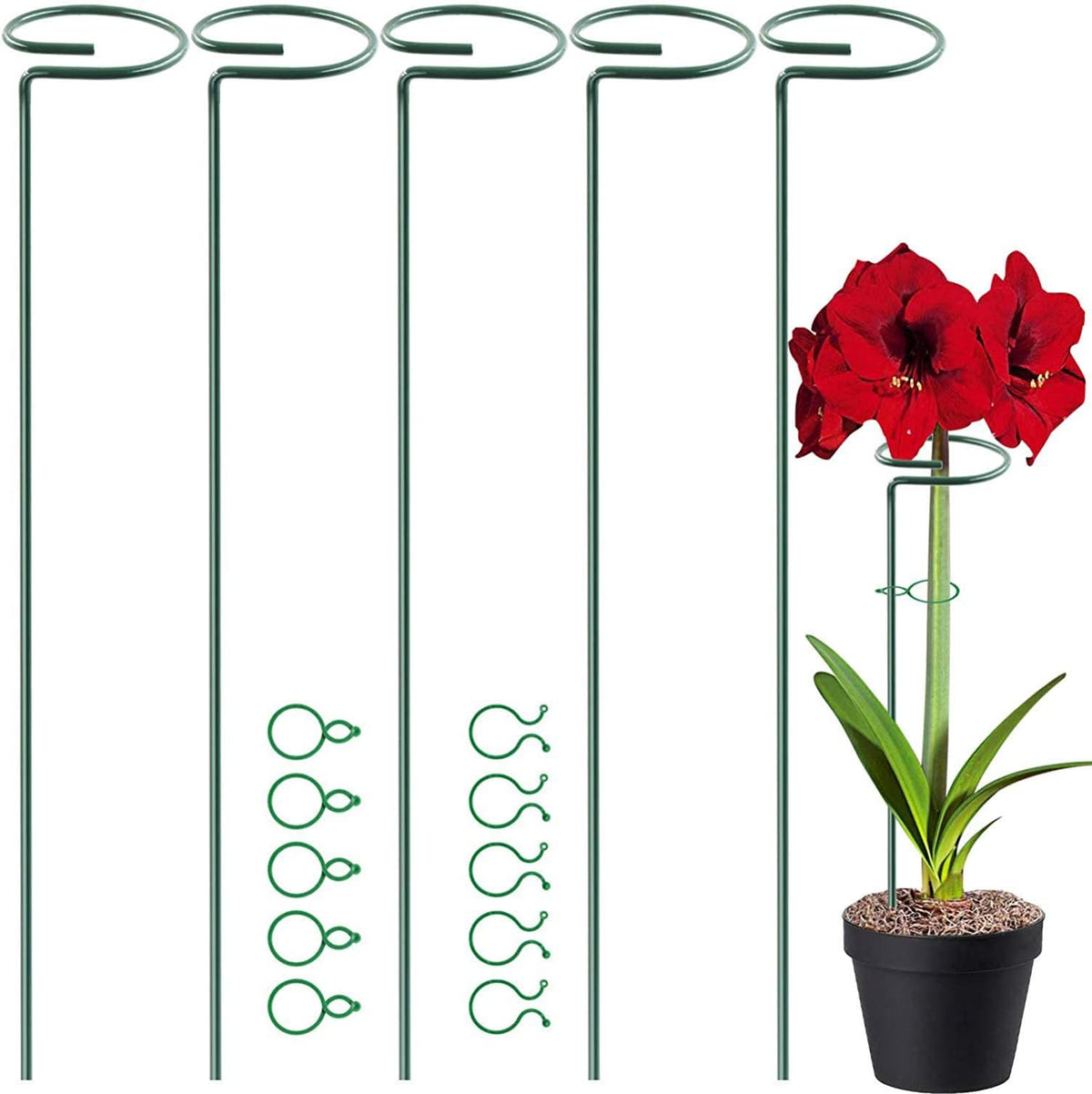 HiGift 17 inch Plant Support Stakes, 4mm Thick Garden Single Stem Flower Support Stake Amaryllis