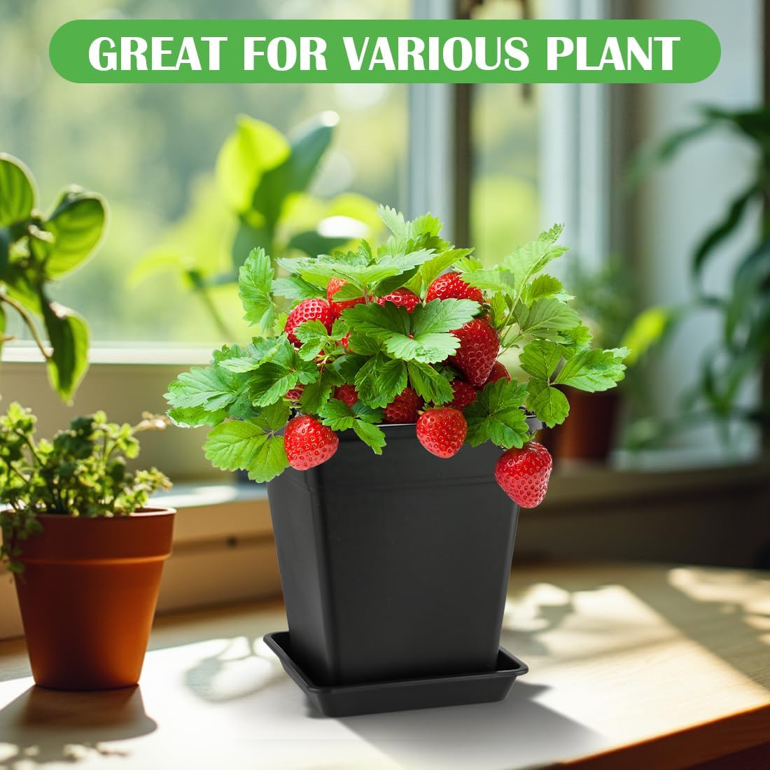 BTPLASTIK 9 Inch Square Planters for Indoor Plants, 8 Pack Large Plastic Plant Pot with Drainage &