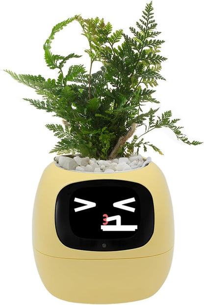 Smart Pet Planter, Smart Plant Pot, With Artificial Intelligence, Time Weather Display, And