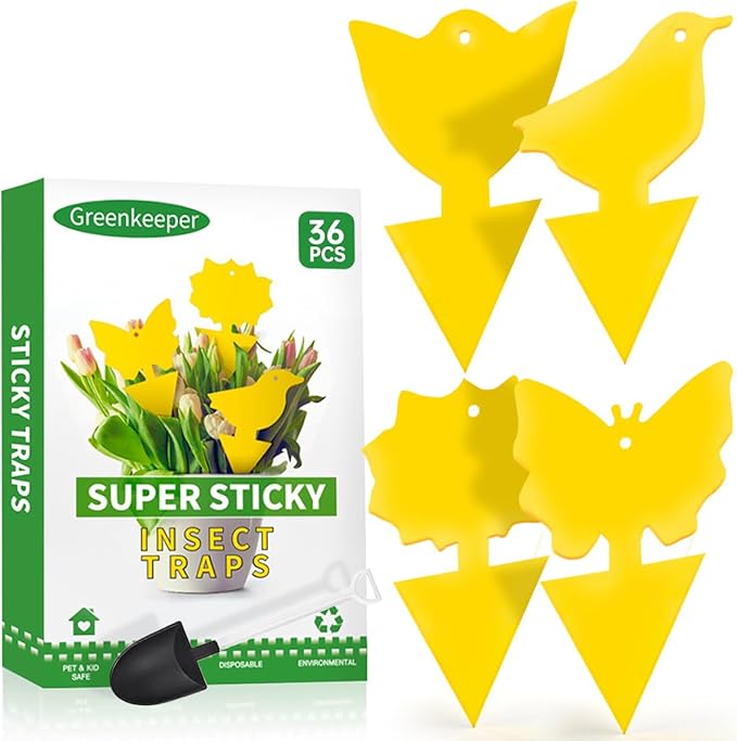 36 Pcs Classic Sticky Traps for Fungus Gnat (Plants), Fruit Fly, Whitefly, and Fly, Yellow Sticky