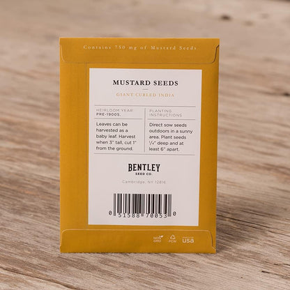 Bentley Seeds with Faith Pre Filled Giant Curled India Seed Packets - 25 Individual Mustard Seed
