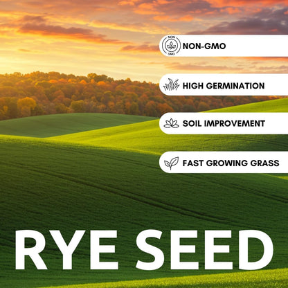 Rye Grass Seed - Fast Growing and Hardy Grass, Cover Crop, Food Plot. Grazing Pasture Seeds (25