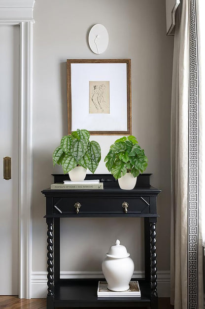 Fake Plants Small Faux Potted Plant 9.8 Inches Fake Piper Sylvaticum with Pot Artificial Plants