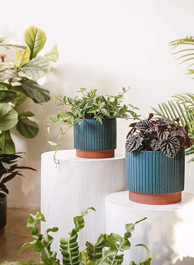 LE TAUCI Ceramic Pots for Plants, 8+6.7+5.5 Inch Plant Pots Indoor, Flower Pot with Drainage Holes