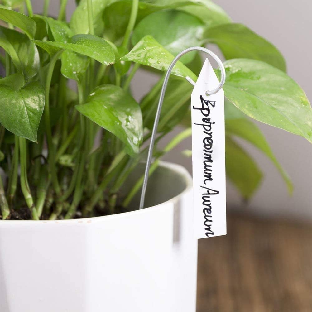 YaeCCC 1000 Pcs 4 Inches Plant Labels Plastic Plant Tags Nursery Garden Labels Pot Marker Garden