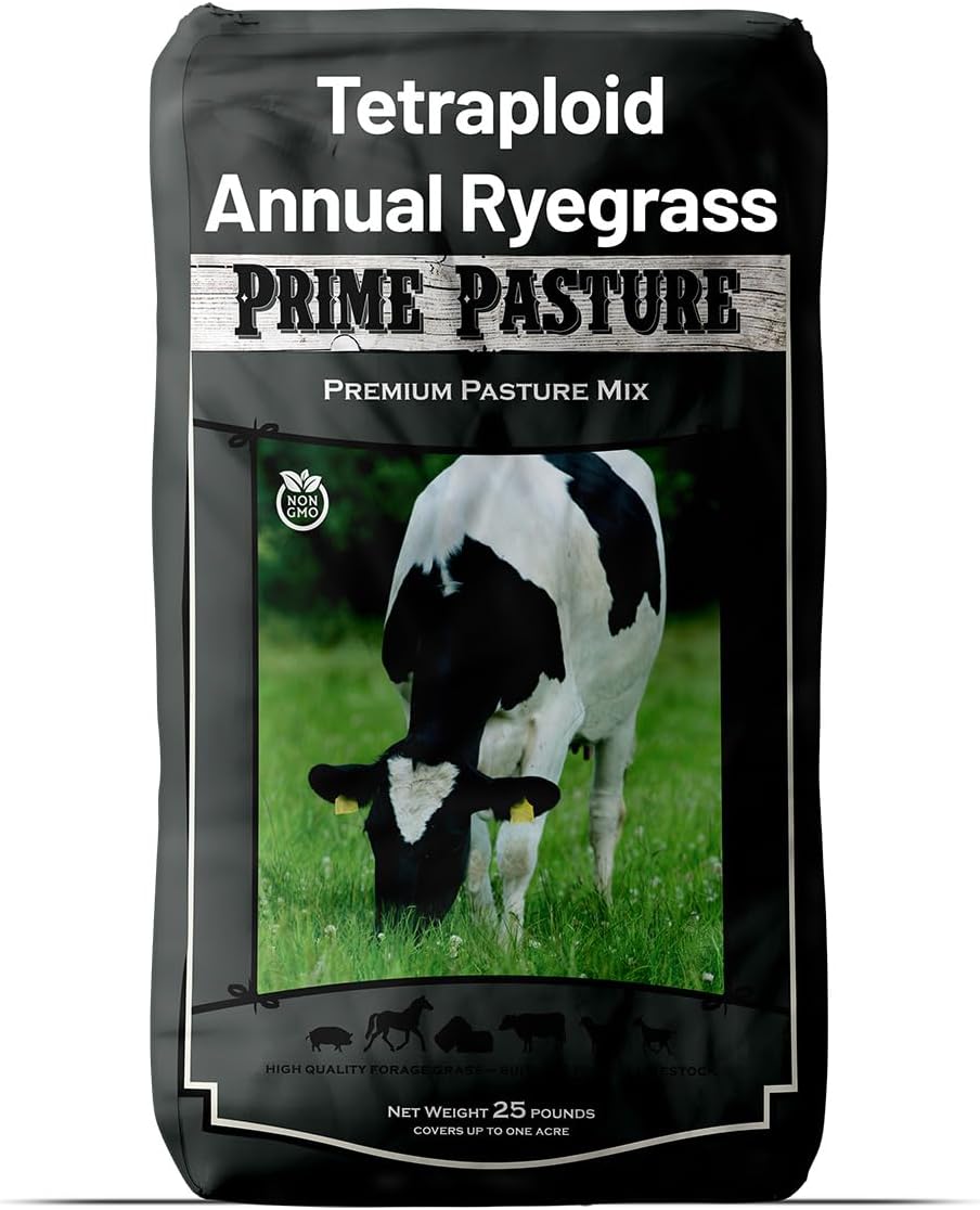 Outsidepride Ryegrass Seeds - 25 lb. Annual, Hardy & Fast-Growing, Cover Crop Seeds for Planting