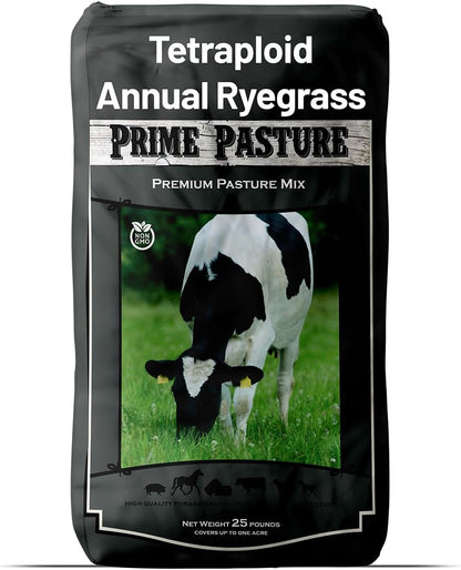 Outsidepride Ryegrass Seeds - 25 lb. Annual, Hardy & Fast-Growing, Cover Crop Seeds for Planting