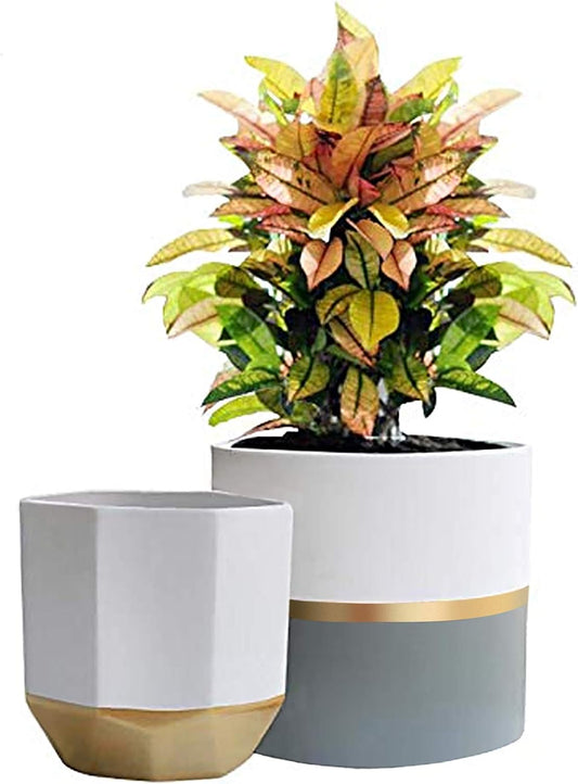 LA Jolie Muse White Ceramic Flower Pot Garden Planters 6.7 Inch Pack 2 Indoor Plant Containers with