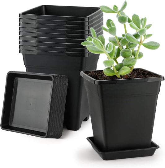 BTPLASTIK Square Plastic Planter 8 Inch, Plant Pots with Drainage Hole & Tray, 10 Pack Modern