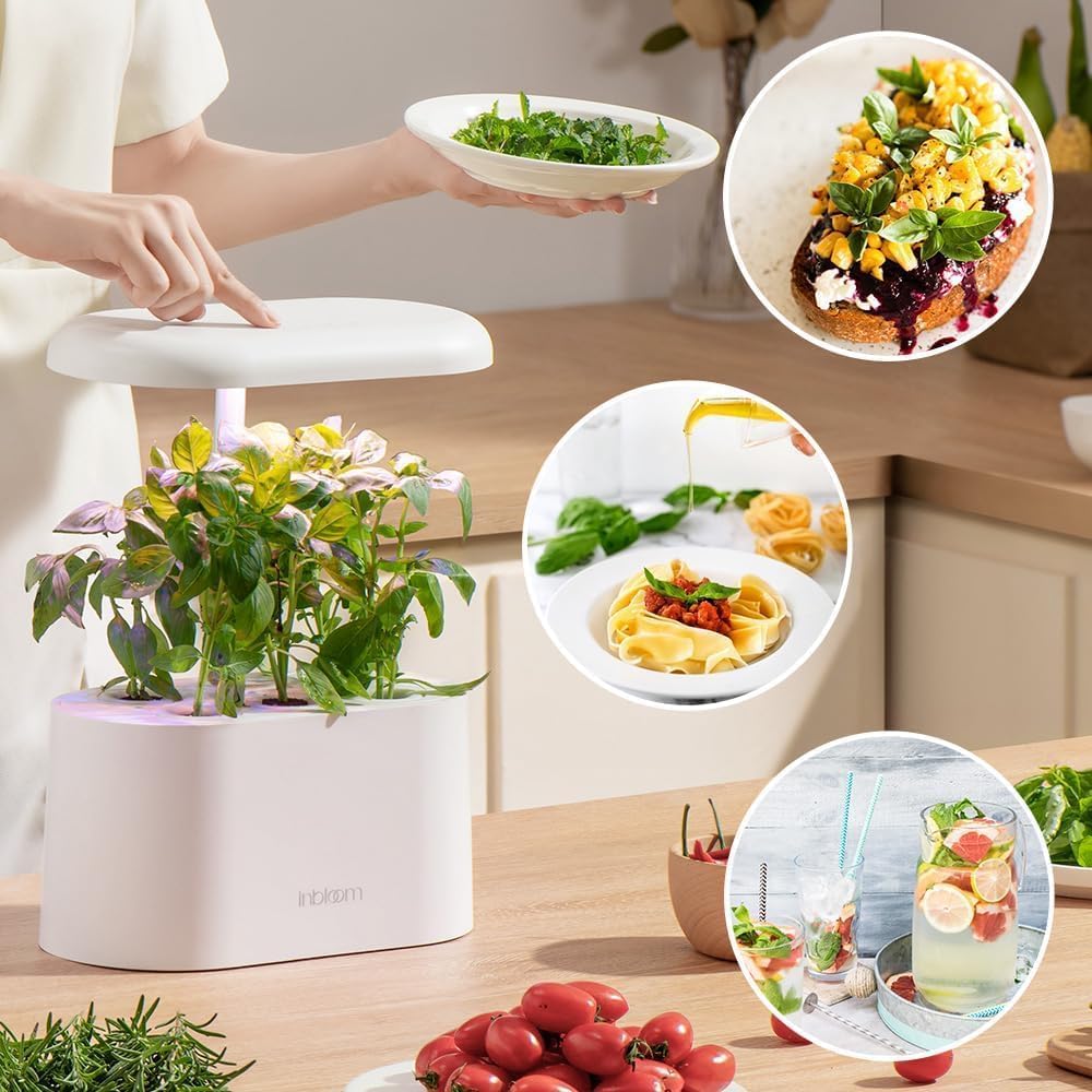 inbloom Herb Seed Pods Kit for AeroGarden, 7-Pods with Basil, Cilantro, Parsley Seed Hydroponic