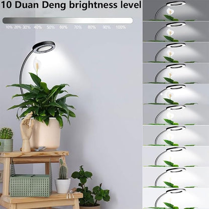 Plant Grow Light, 48 LEDs Full Spectrum Grow Lights for Indoor Plants, Height Adjustable Small Halo