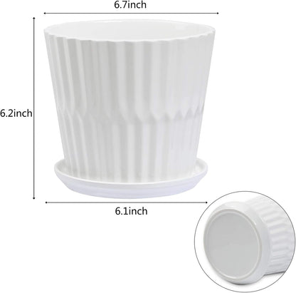 Plant Pots - 6.7 Inch Cylinder Ceramic Planters with Connected Saucer, Pots for Succuelnt and