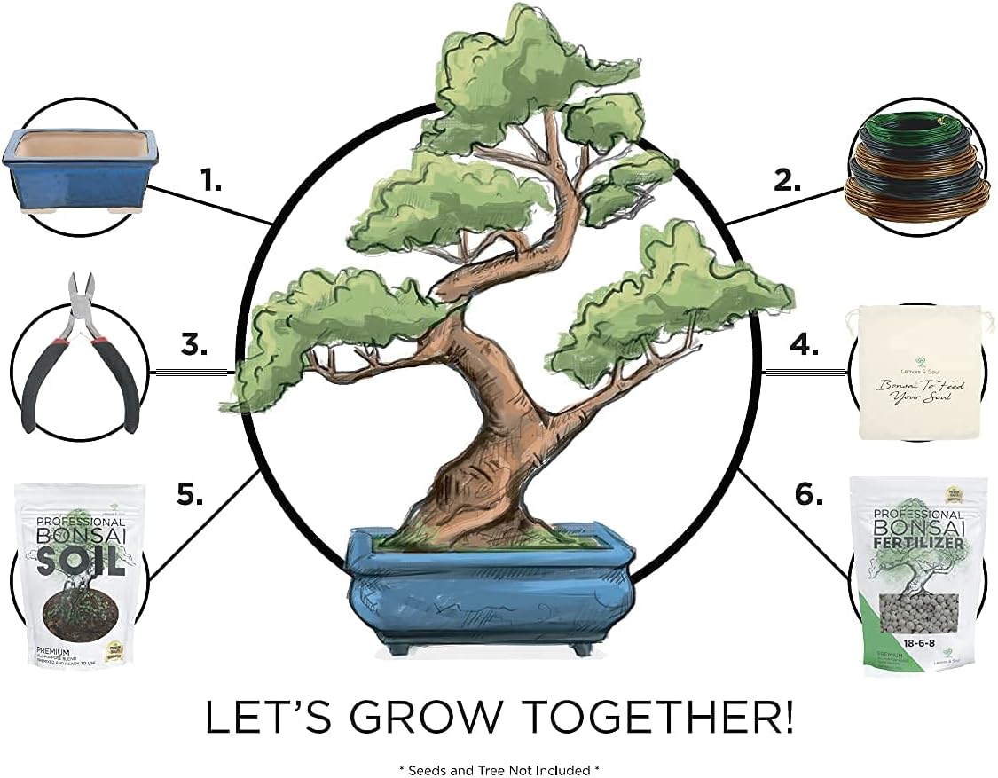 Leaves and Soul Complete Bonsai Set - Small Blue Rectangle Bonsai Pot | 160ft of Bonsai Hobby Wire