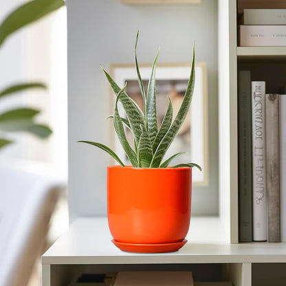 5 Inch Plant Pot - Ceramic Planter for Succulent Cactus Herbs Indoor Plants, Modern Round Flower