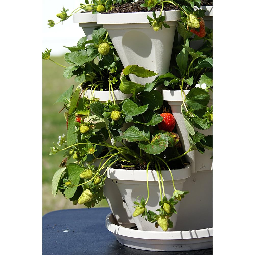 Vertical Garden Planter 4 Tier Stackable System 16 Plants, Space Saving Herb, Strawberry & Food