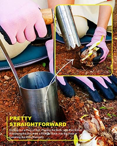 Bulb Planter Tool with 6 Inch Depth Measurment Tulip Bulb for Planting Tulip Daffodils Dahlias