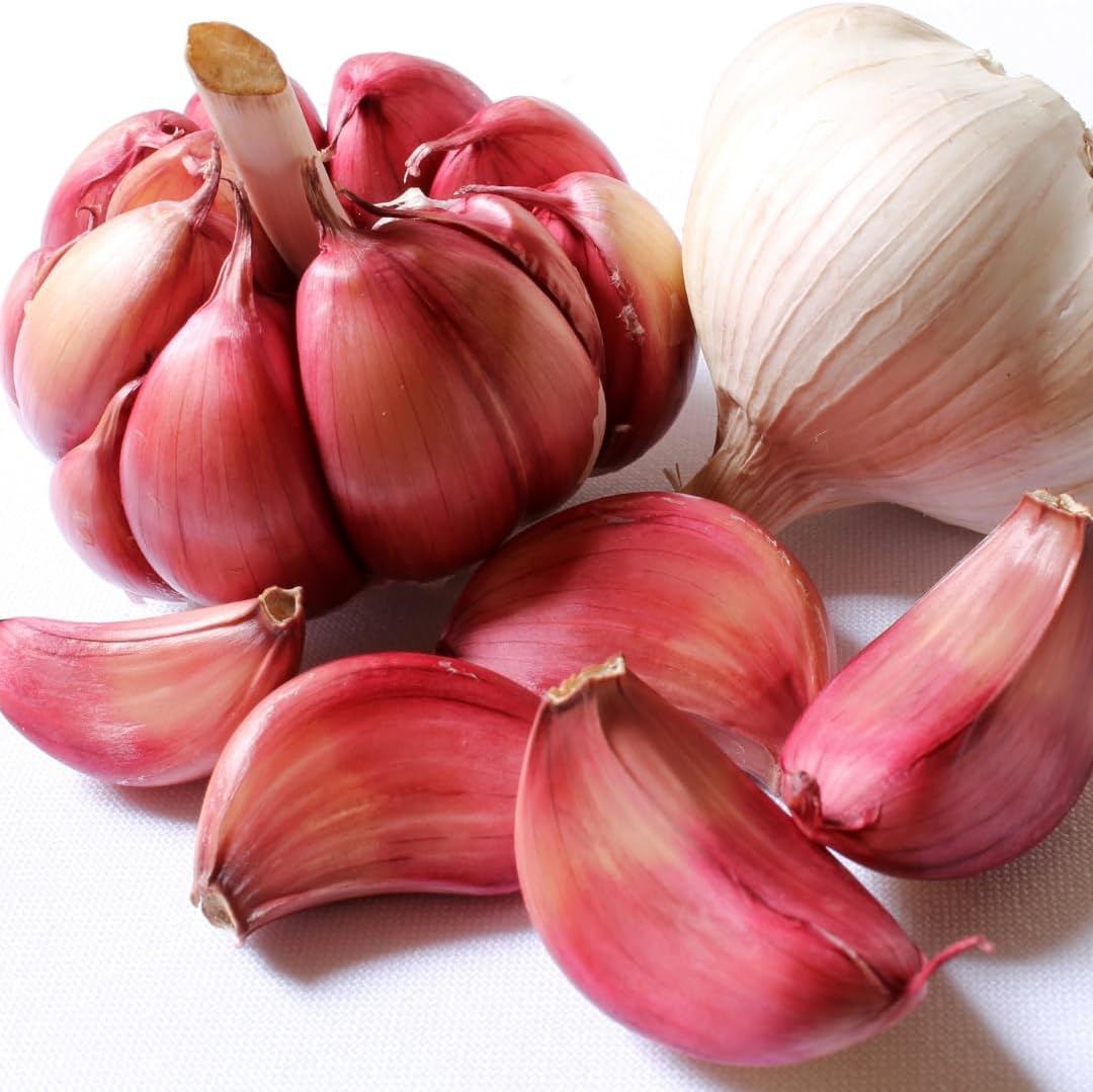 1 Pound Hard Neck Garlic for Planting in Fall, Red Garlic Bulb for Planting, Fresh and High Yield