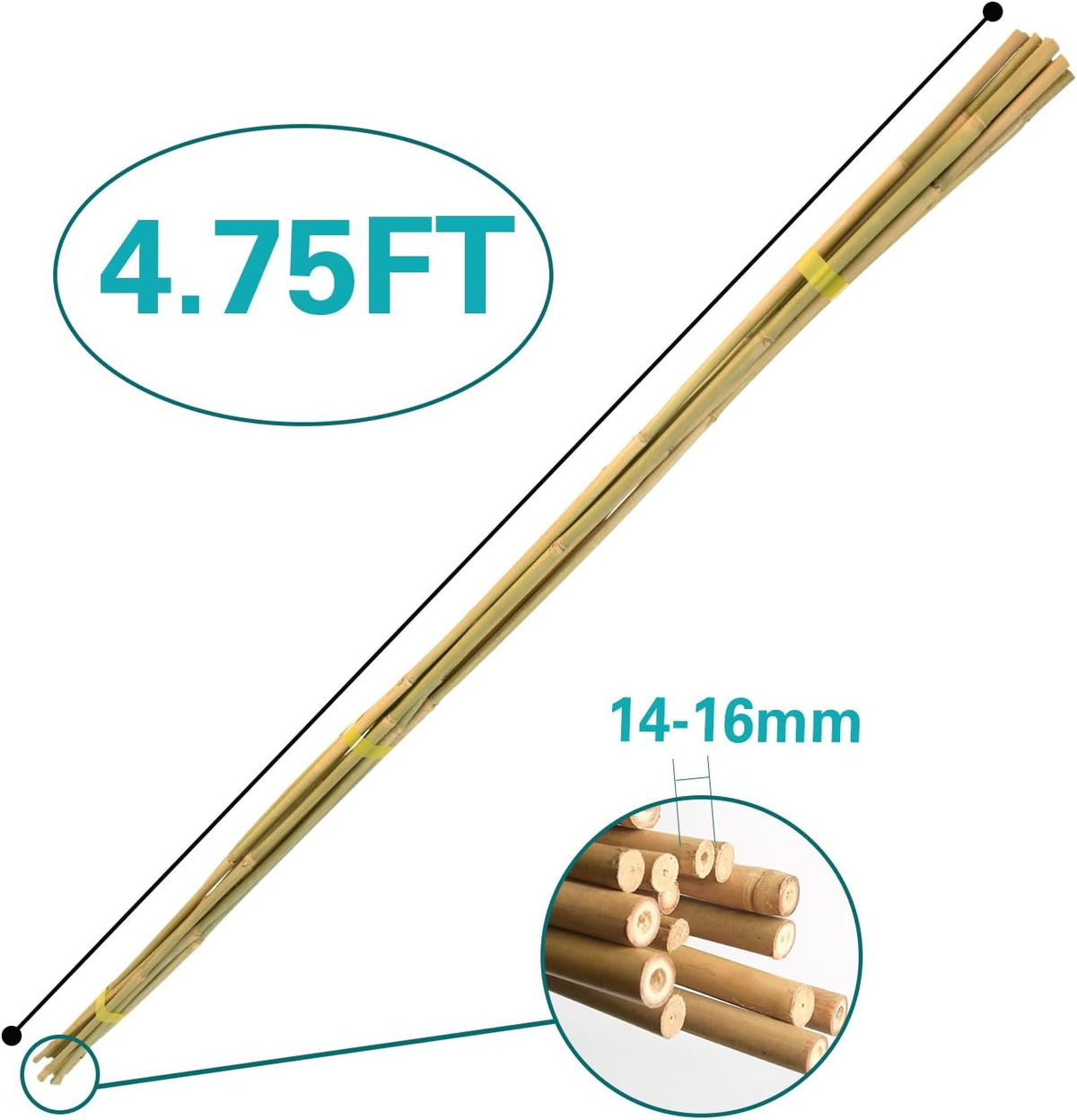 Bamboo Stakes 57 Inch, Approx 5FT Garden Stakes Multi-Purpose, Plant Stakes for Tomatoes, Beans