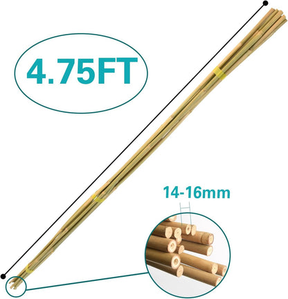 Bamboo Stakes 57 Inch, Approx 5FT Garden Stakes Multi-Purpose, Plant Stakes for Tomatoes, Beans