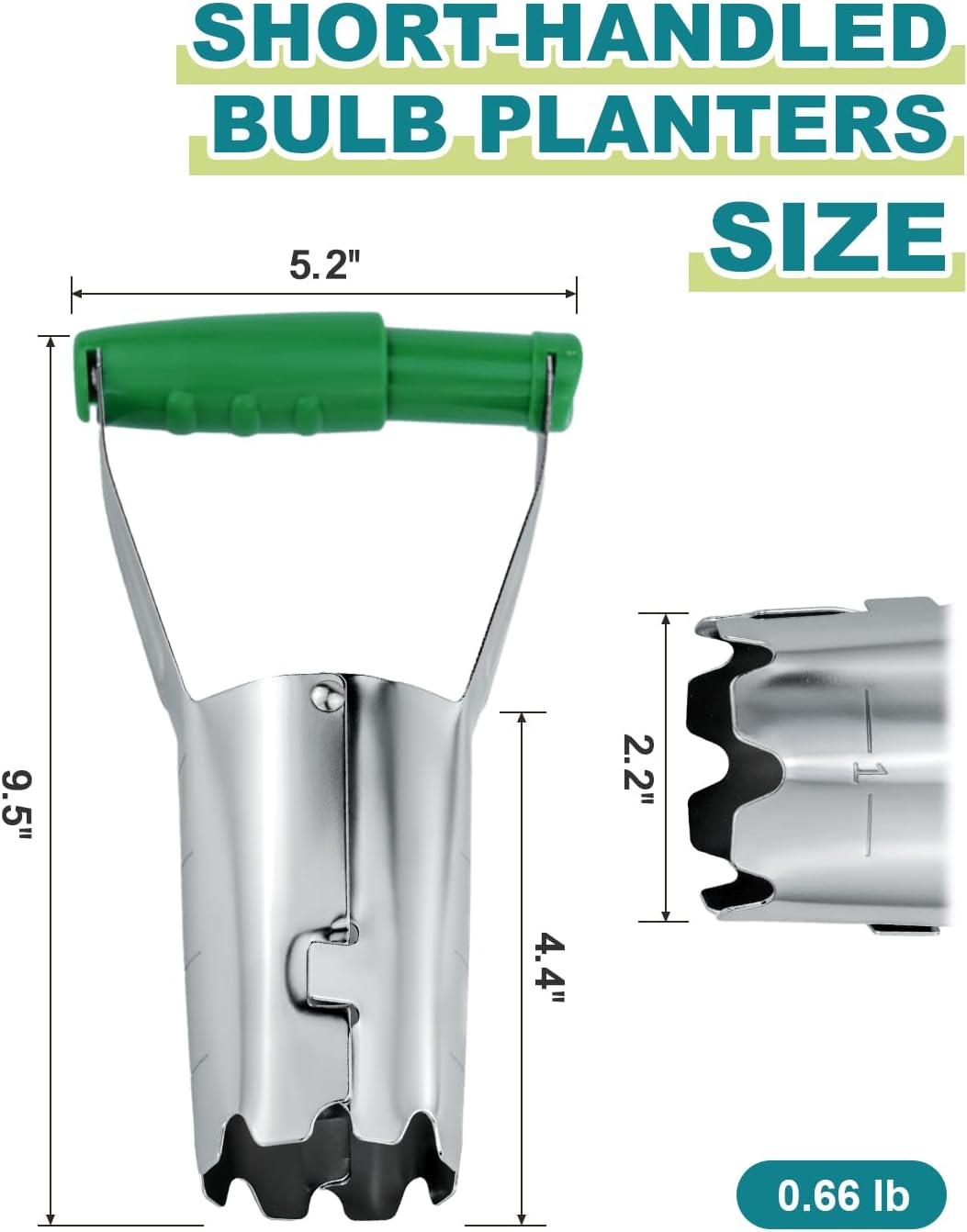 Bulb Planter Tool with Release Button&4Inch Measurements Tulip Planting Tool Bulb Transplanter Bulb