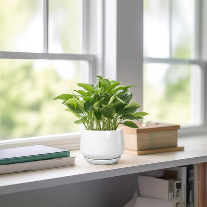 G EPGardening Ceramic Plants Pots - 4 inch Succulent Pots for Indoor Outdoor, Small Planter with