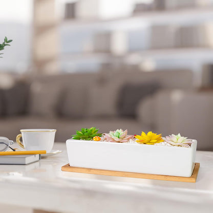 Succulent Pots - 12.1 Inch Large Succulent Pots with Drainage Tray, Window Sill Planter, Long