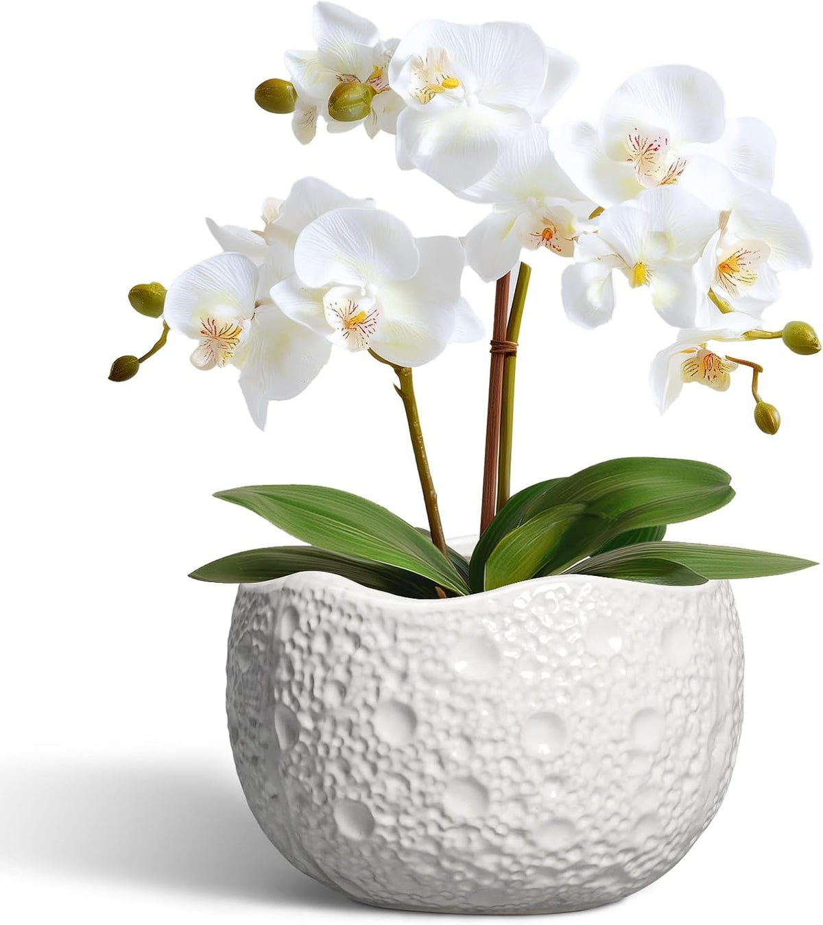Ceramic Pots for Plants - 6 Inch Plant Pot for Indoor Outdoor, Decorative Orchid Pots with Drainage